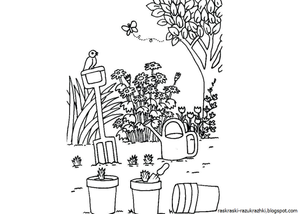 Раскраска "сад-огород"