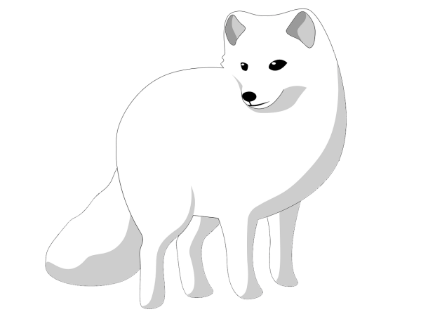 Песец вектор