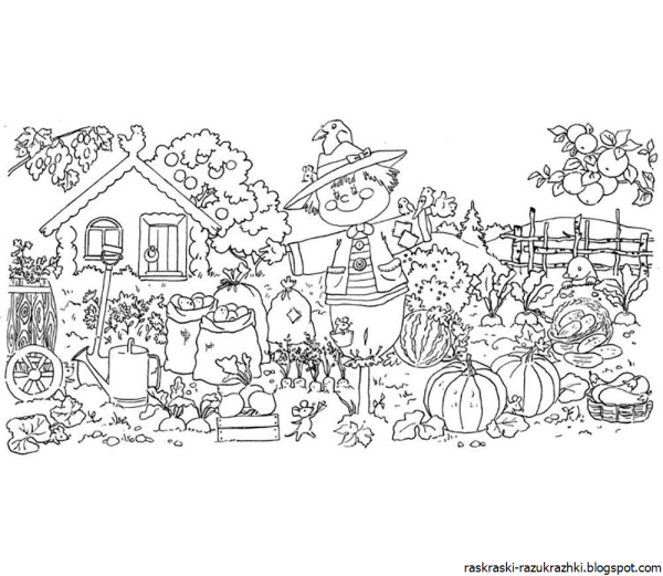 Раскраска. В огороде