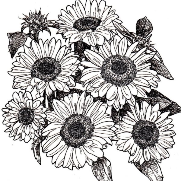 Выжигание подсолнух