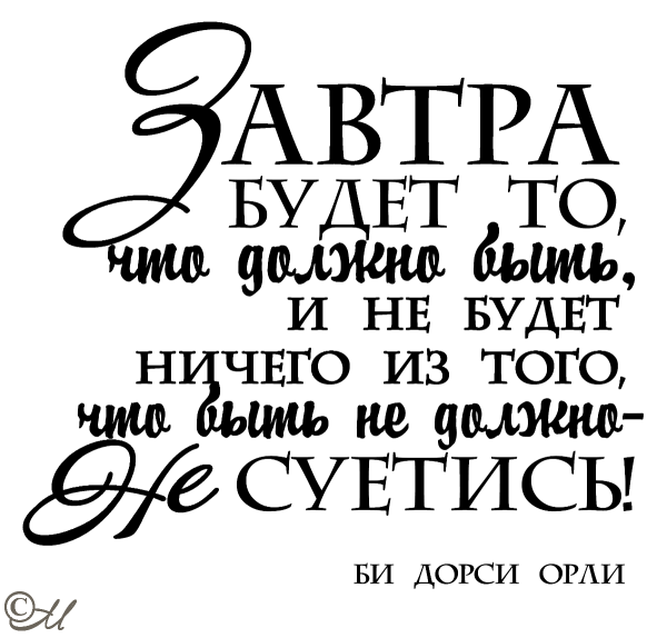 Цициатаы на белом фоне