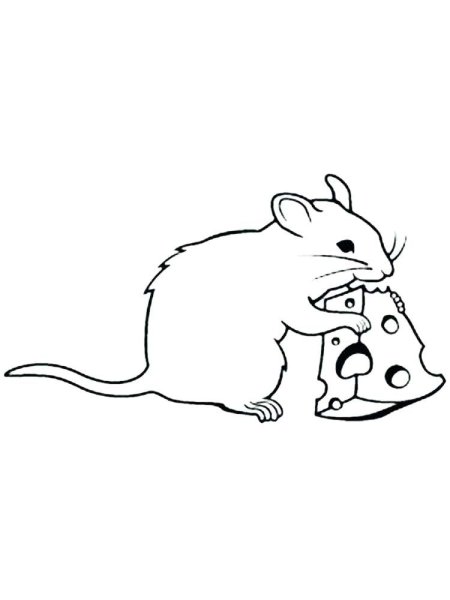 Мышь черно белая