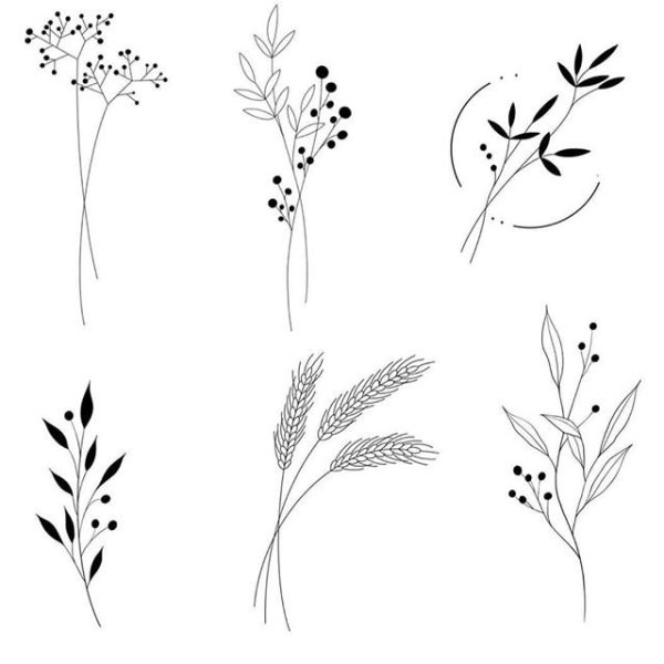 Эскиз тату веточка с листьями