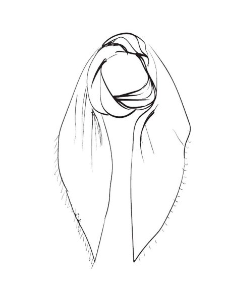 Платок раскраска