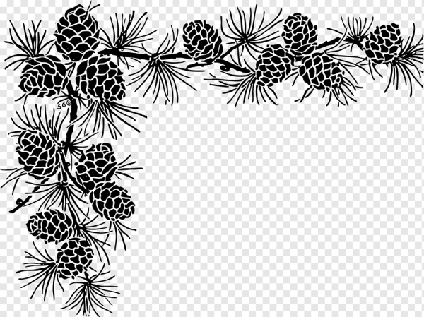 Шишка линейный рисунок