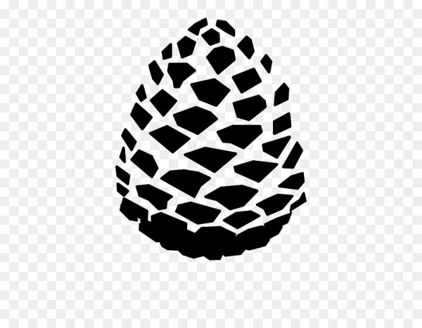 Тату Сосновая шишка