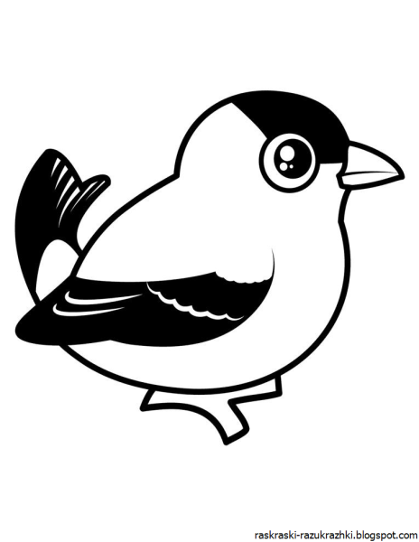 Птичка раскраска для малышей