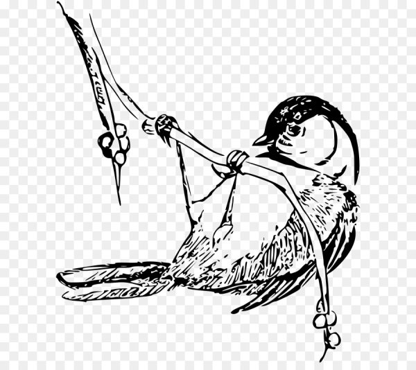 Птички для выжигания по дереву