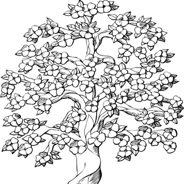 Дерево для раскрашивания для детей