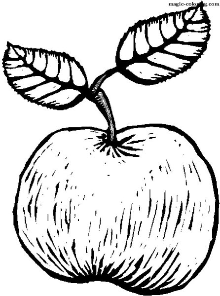 Силуэт дерева раскраска для детей