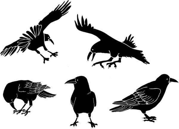 Стилизованный ворон