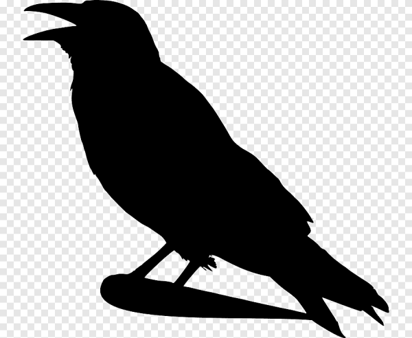 Ворон вектор