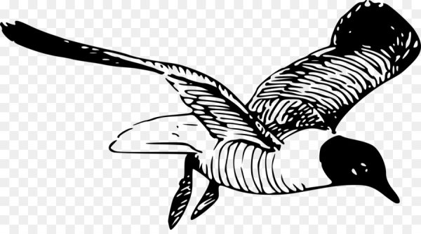 Силуэт Чайки в полете