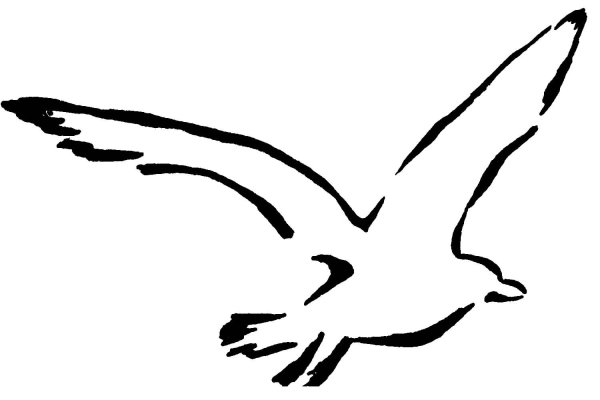 Чайки Графика