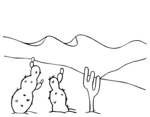 Раскраска пустыня для детей