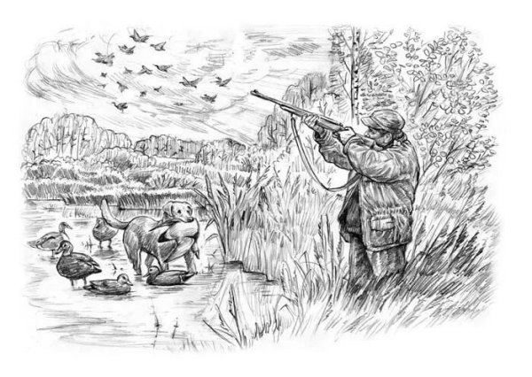 Охота рисунок карандашом