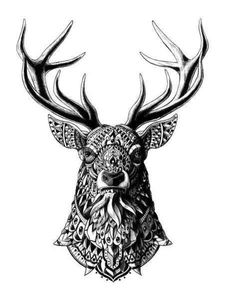 Тату олень