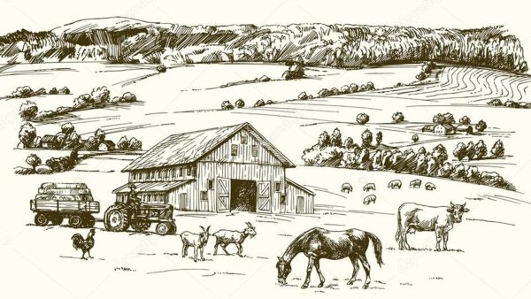 Фермерская зарисовка деревня с коровами