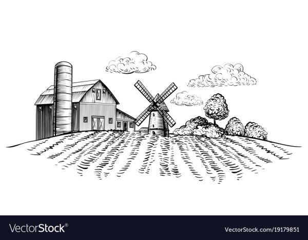 На ферме. Раскраска