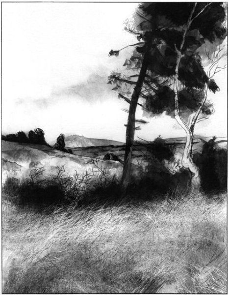 Рисование углем природа