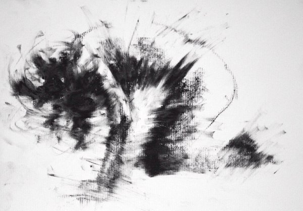 Пятно в графике