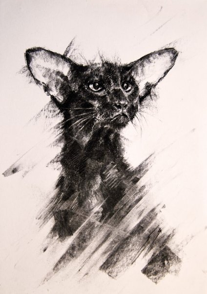 Рисунки углем