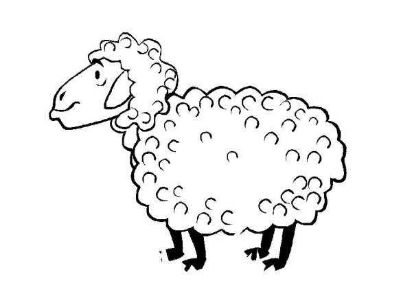 Овечка черно белая