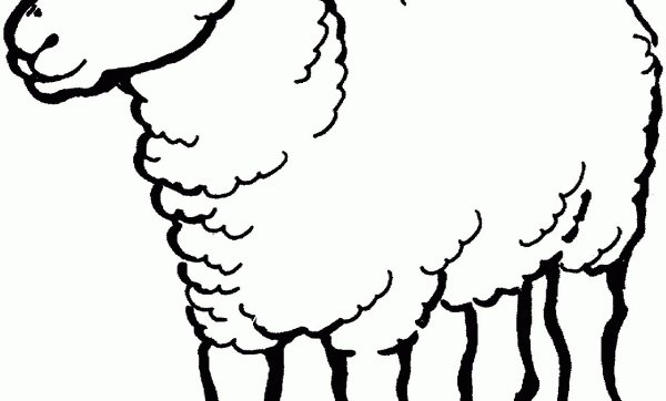 Овца трафарет