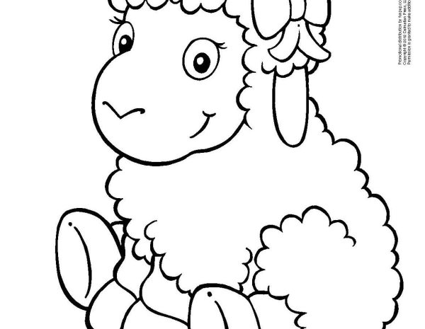 Раскраска Овечка для детей 7 лет