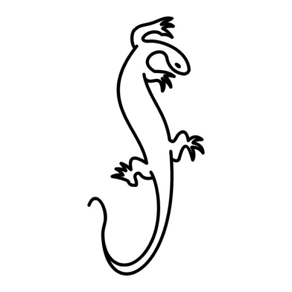 Тату ящерица черно белая