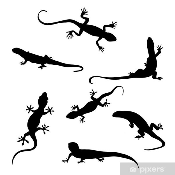 Стилизация ящерицы