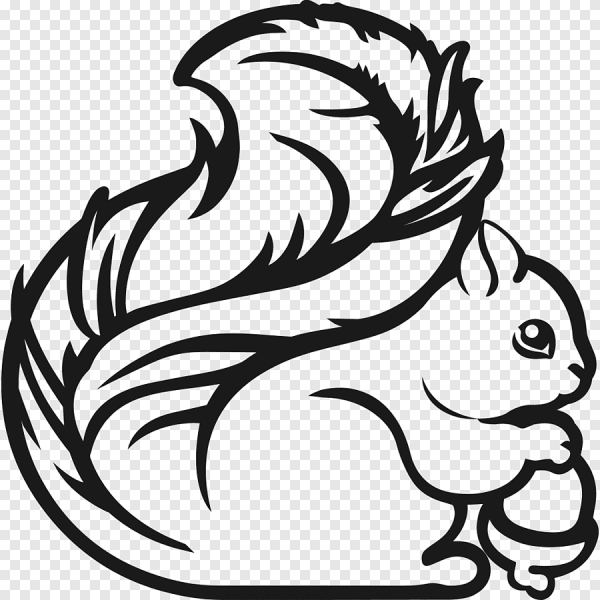 Белка рисунок