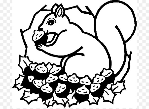 Раскраска Белочка с орешками