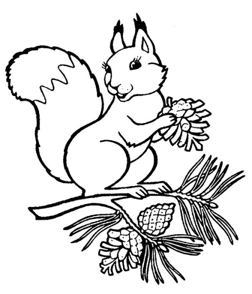 Булочка раскраска для детей