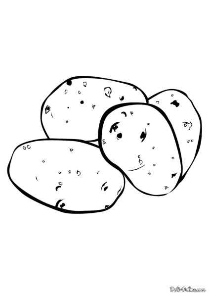 Картофель раскраска для детей