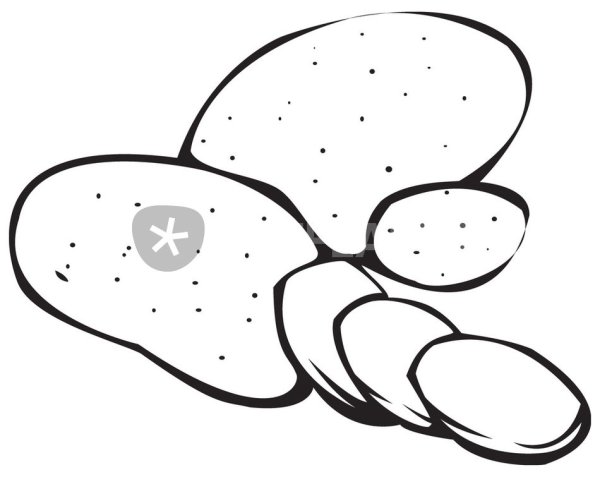 Картошка эскиз