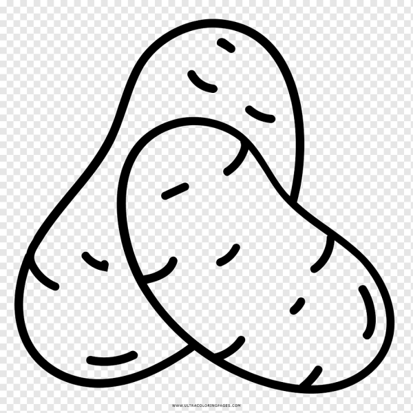 Картошка схематично