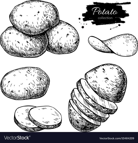 Мешок картошки раскраска