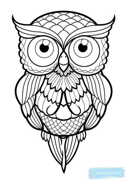 Сова раскраска