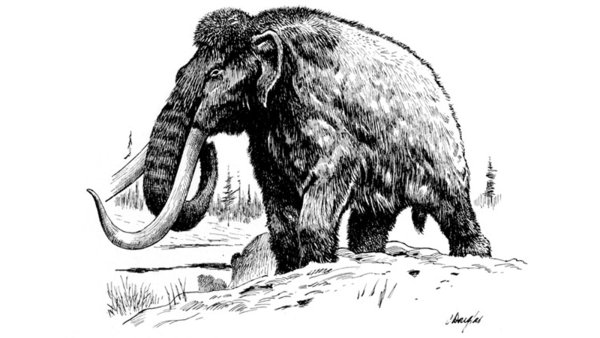 Нарисовать мамонта