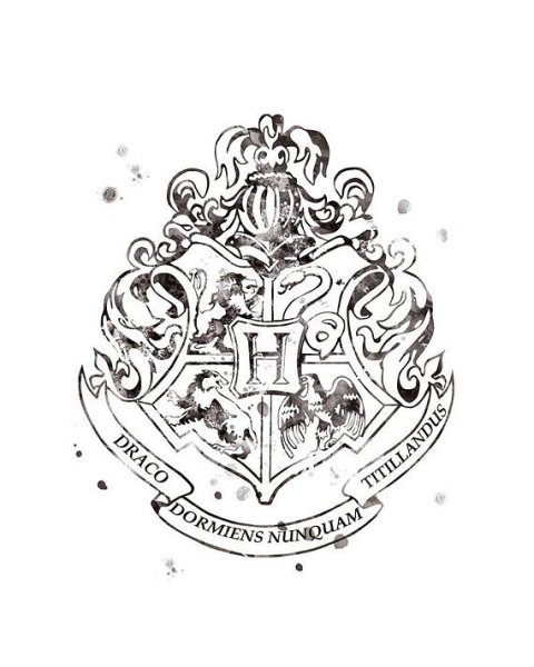 Тату Гарри Поттер эскизы Слизерин