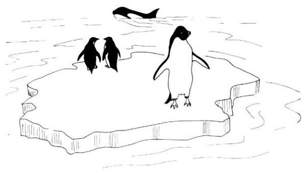 Пингвин на льдине раскраска