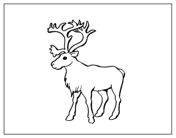 Олень раскраска