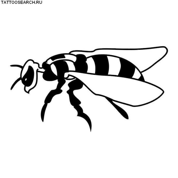 Оса черно белая