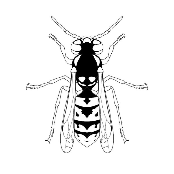 Оса трафарет