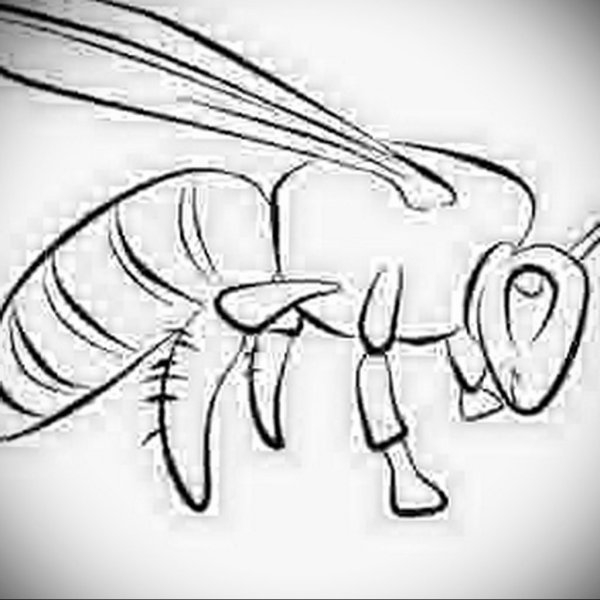 Оса раскраска