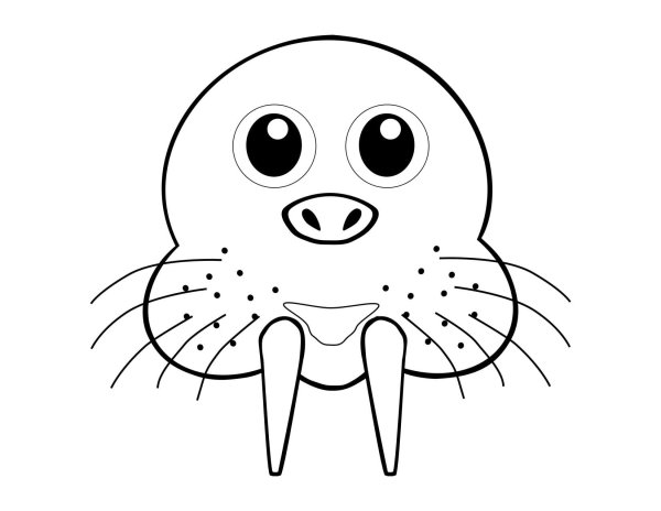 Морж карандашом