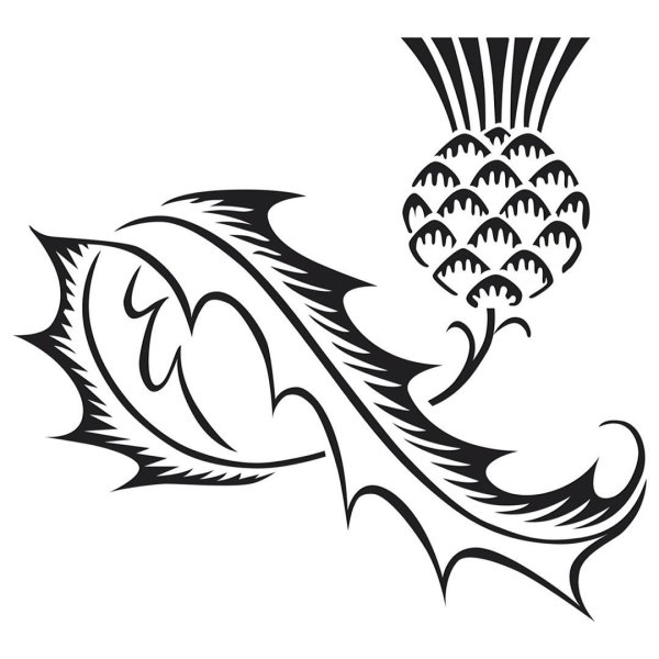 Чертополох стилизация