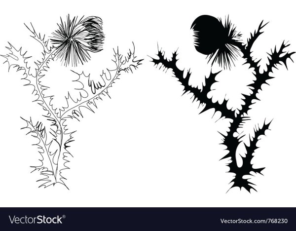 Чертополох силуэт