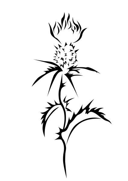 Чертополох тату